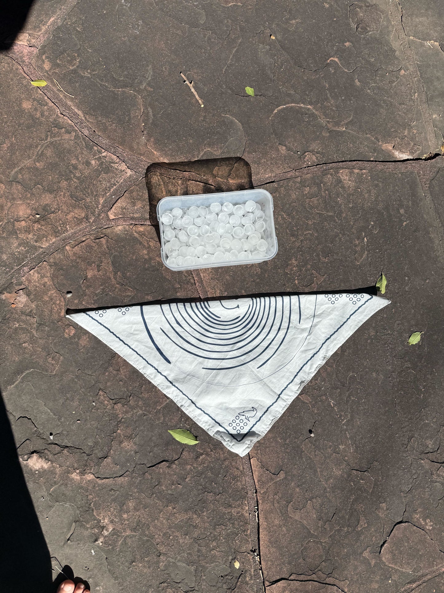 Cotton Bandana