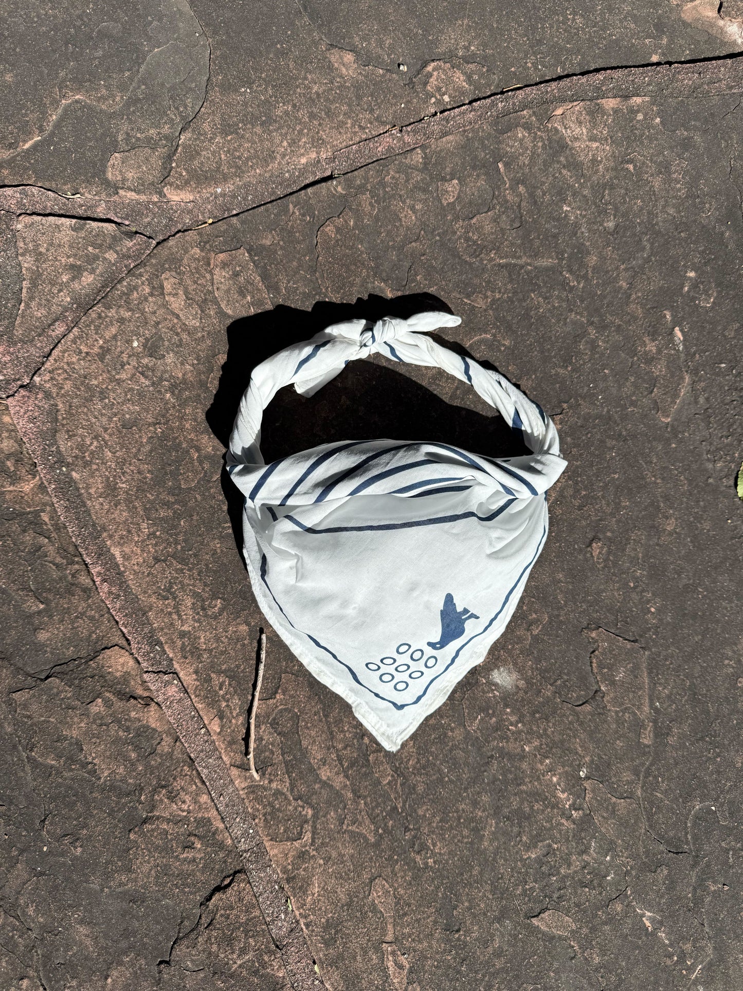 Cotton Bandana